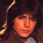 Highlight for Album: David Cassidy
